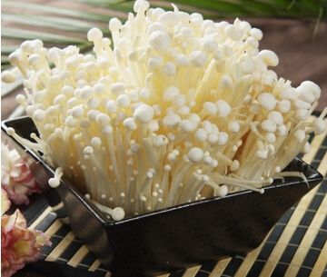 揭秘蔬果的奇異功能 金針菇進步智商